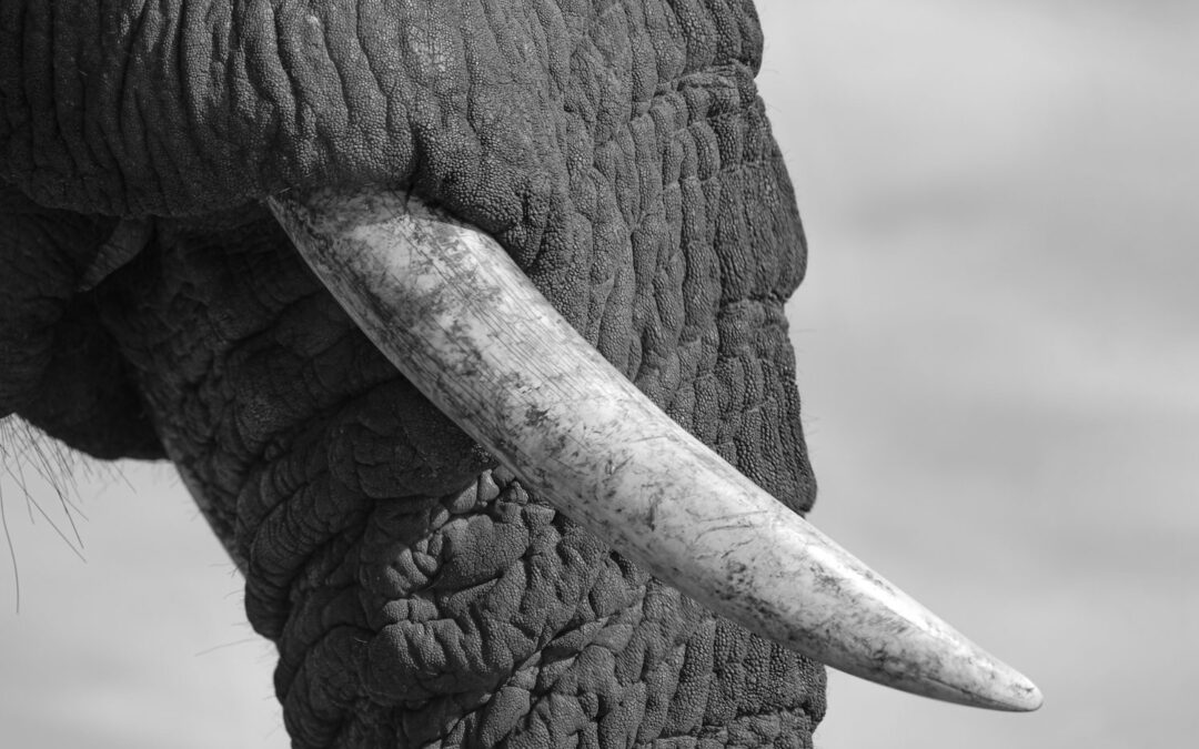 One Photo, One Story: My Favorite Shot as a Travel Photographer