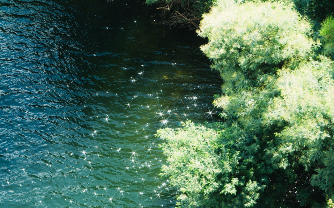 Practicing sustainability as a photographer.