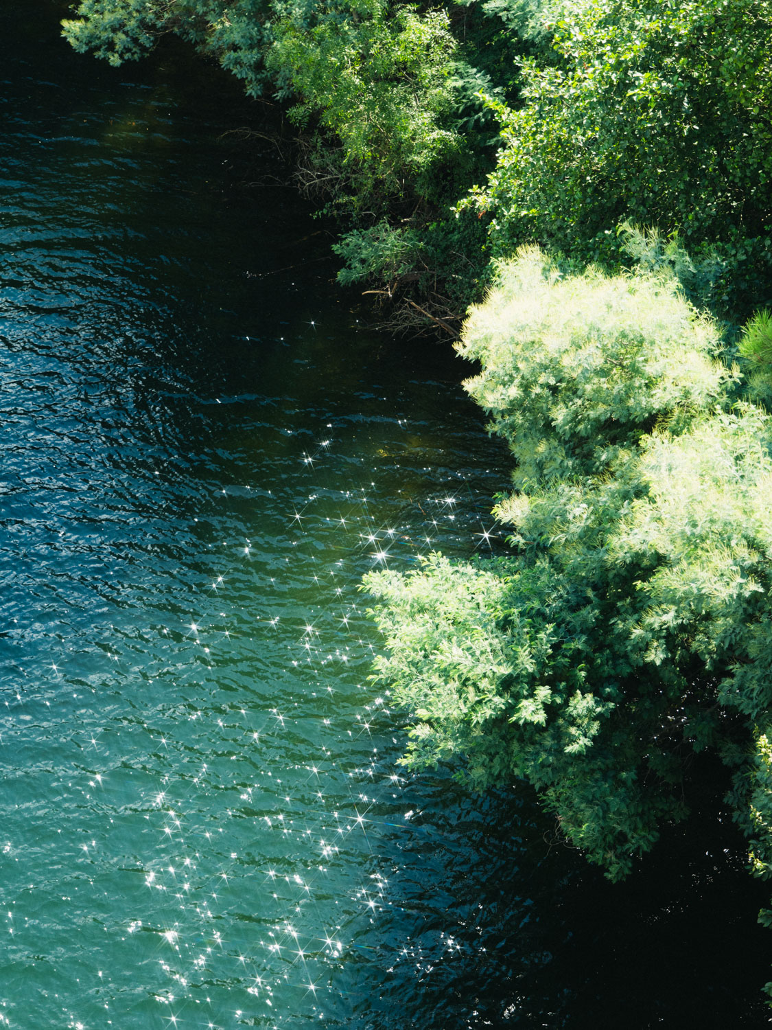 Sustainable photography practices