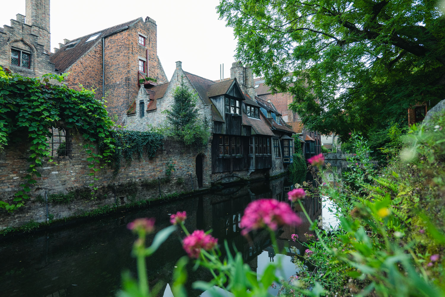Houses on the water in Bruges