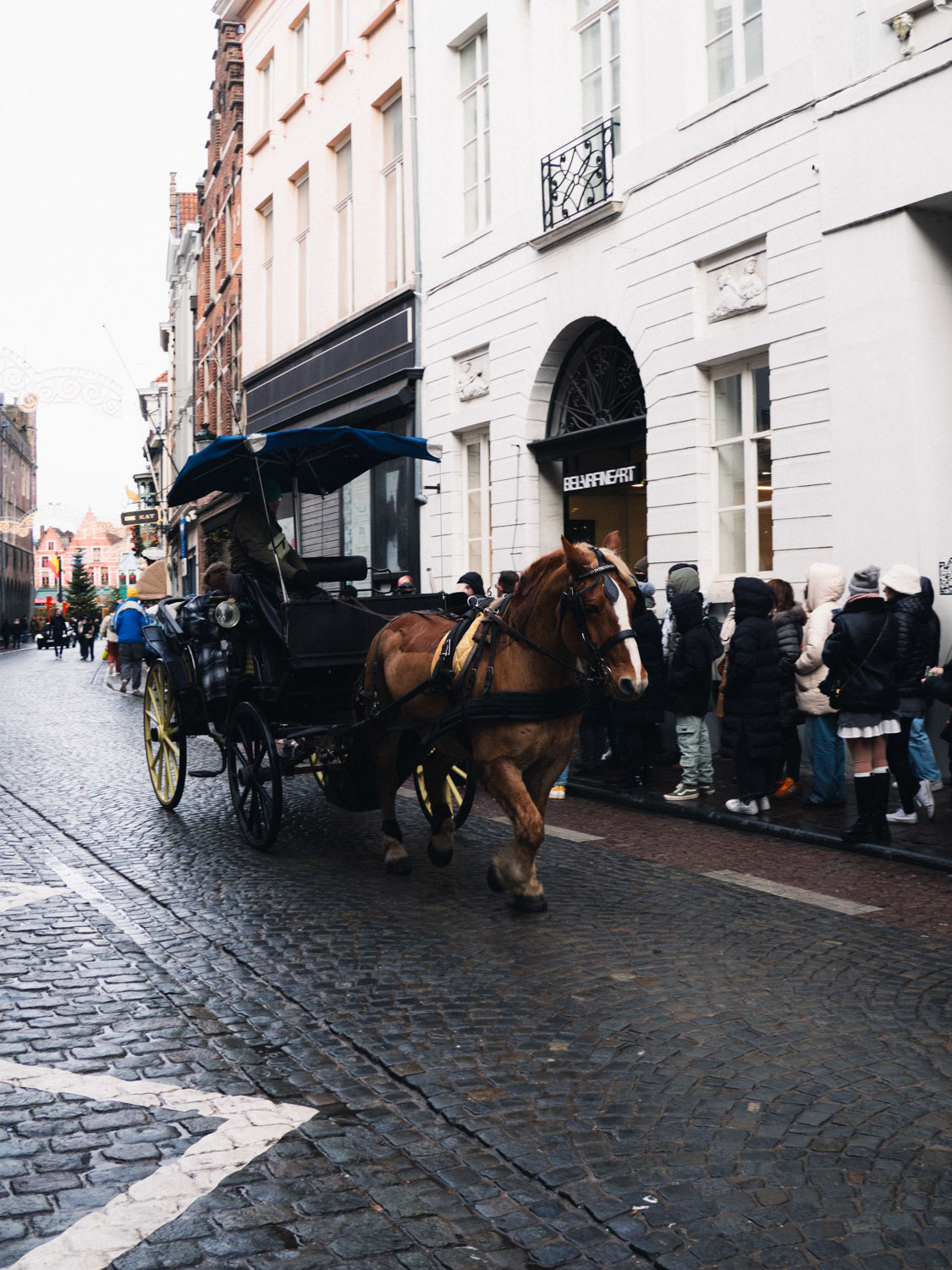 Why you should visit Bruges in the winter