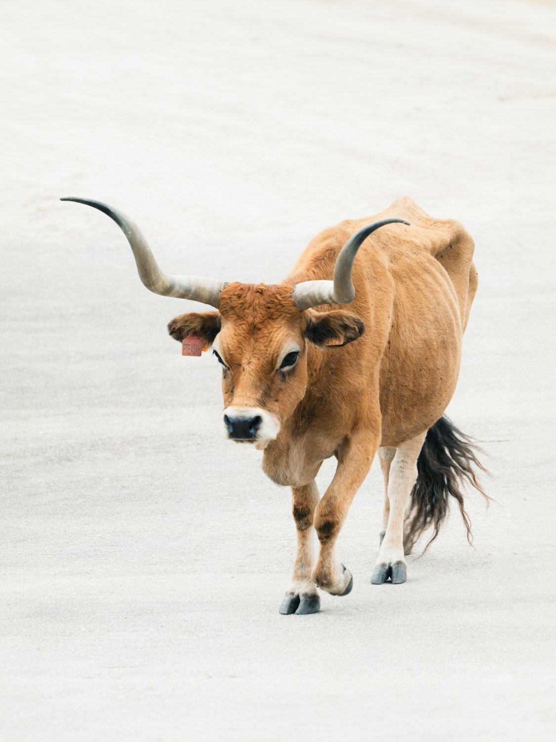 Portugal's only national park