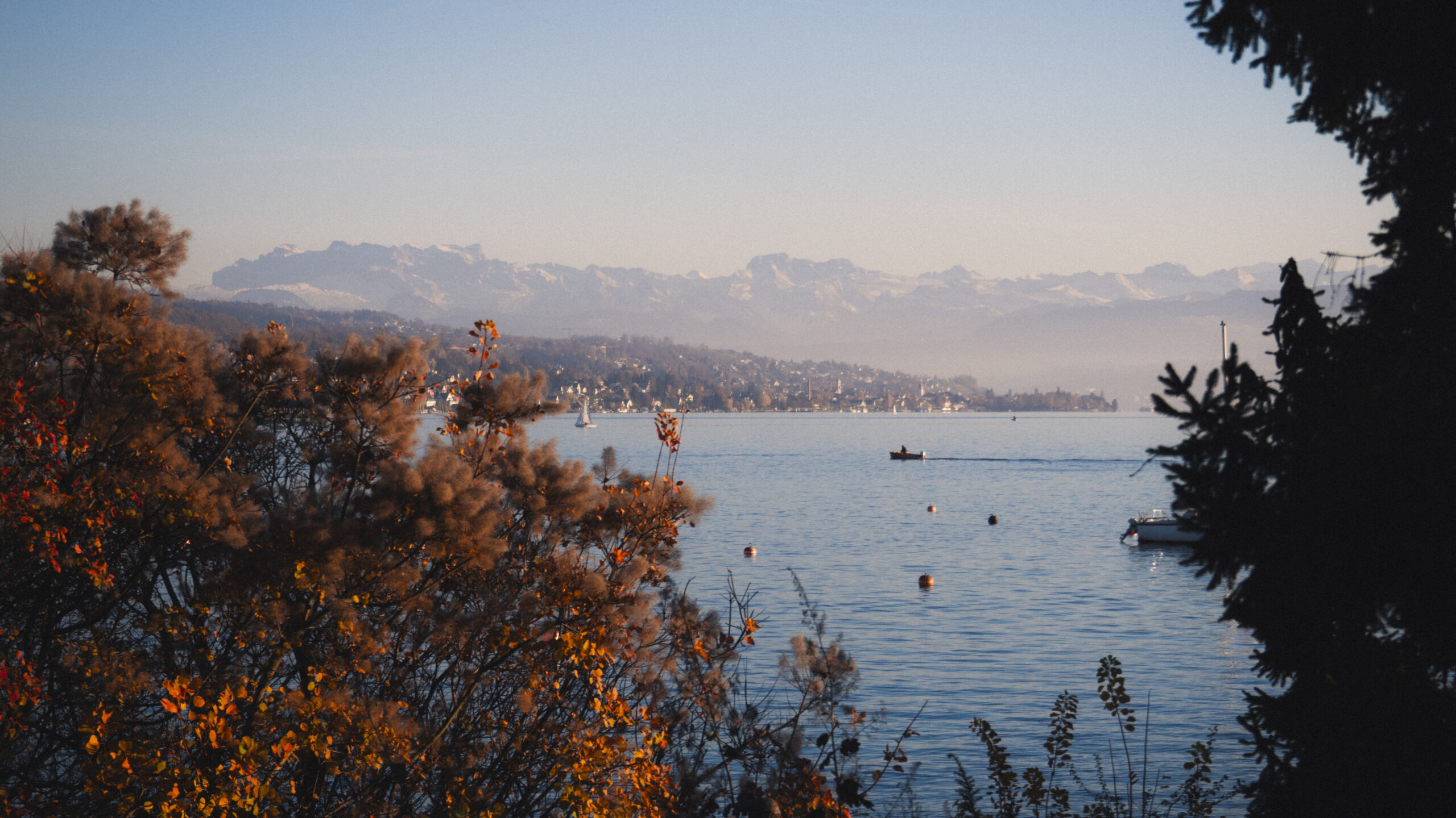 Where to go in Zurich