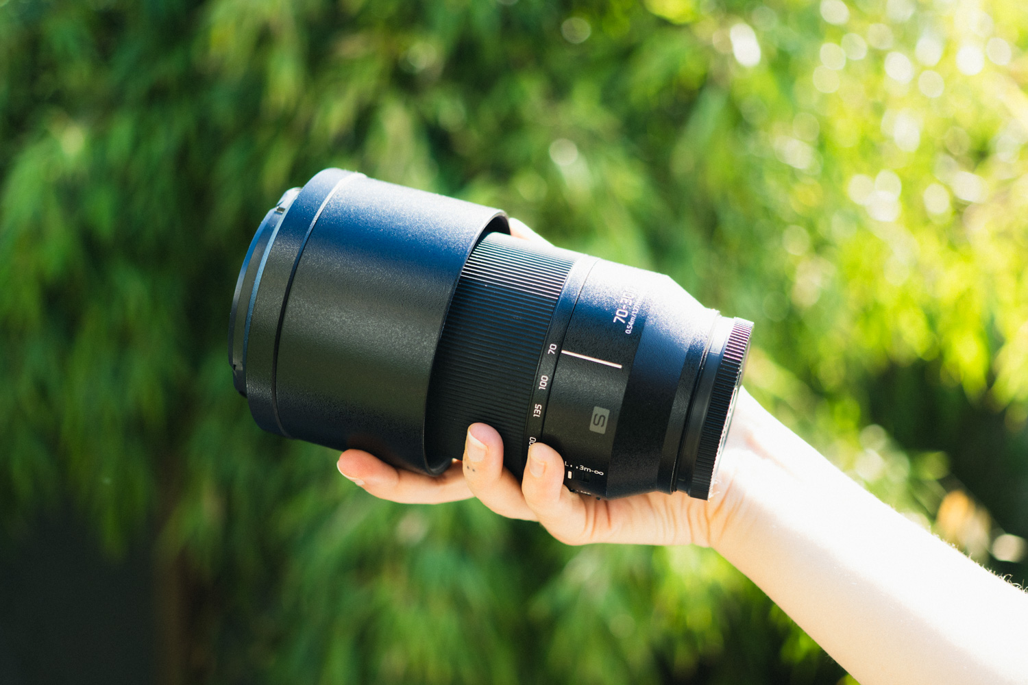 Telephoto lens: Panasonic Lumix S 70-300mm F/4.5-5.6