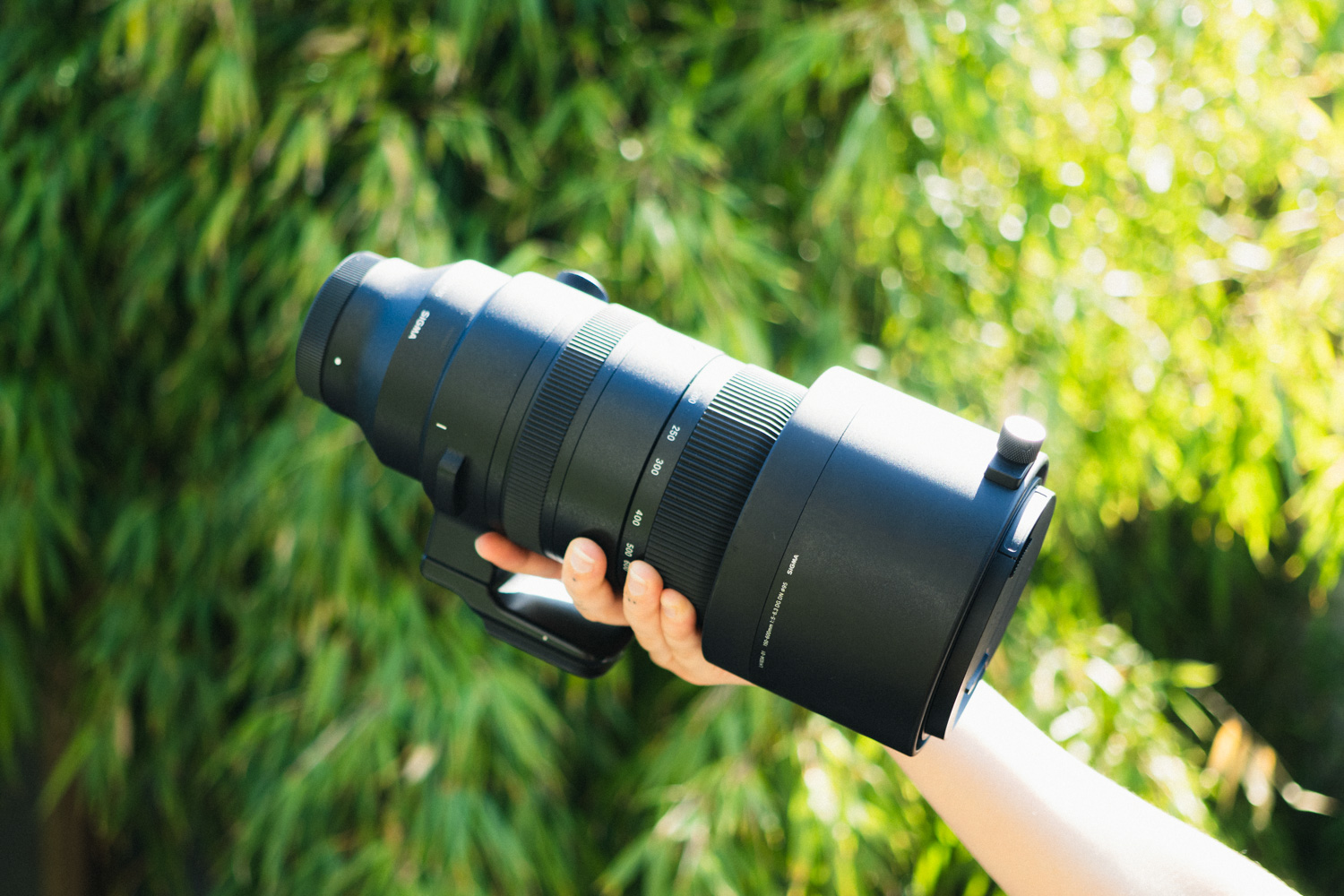 Wildlife telephoto lens: Sigma 150-600mm F/5-6.3