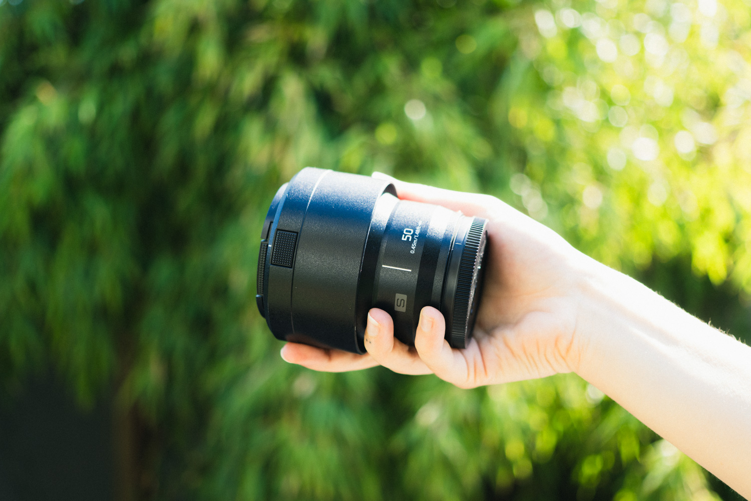 Nifty-fifty lens: Panasonic Lumix S 50mm F/1.8