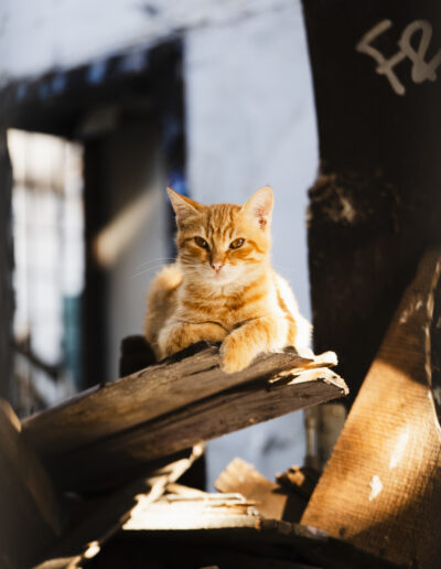 Street photography in Istanbul