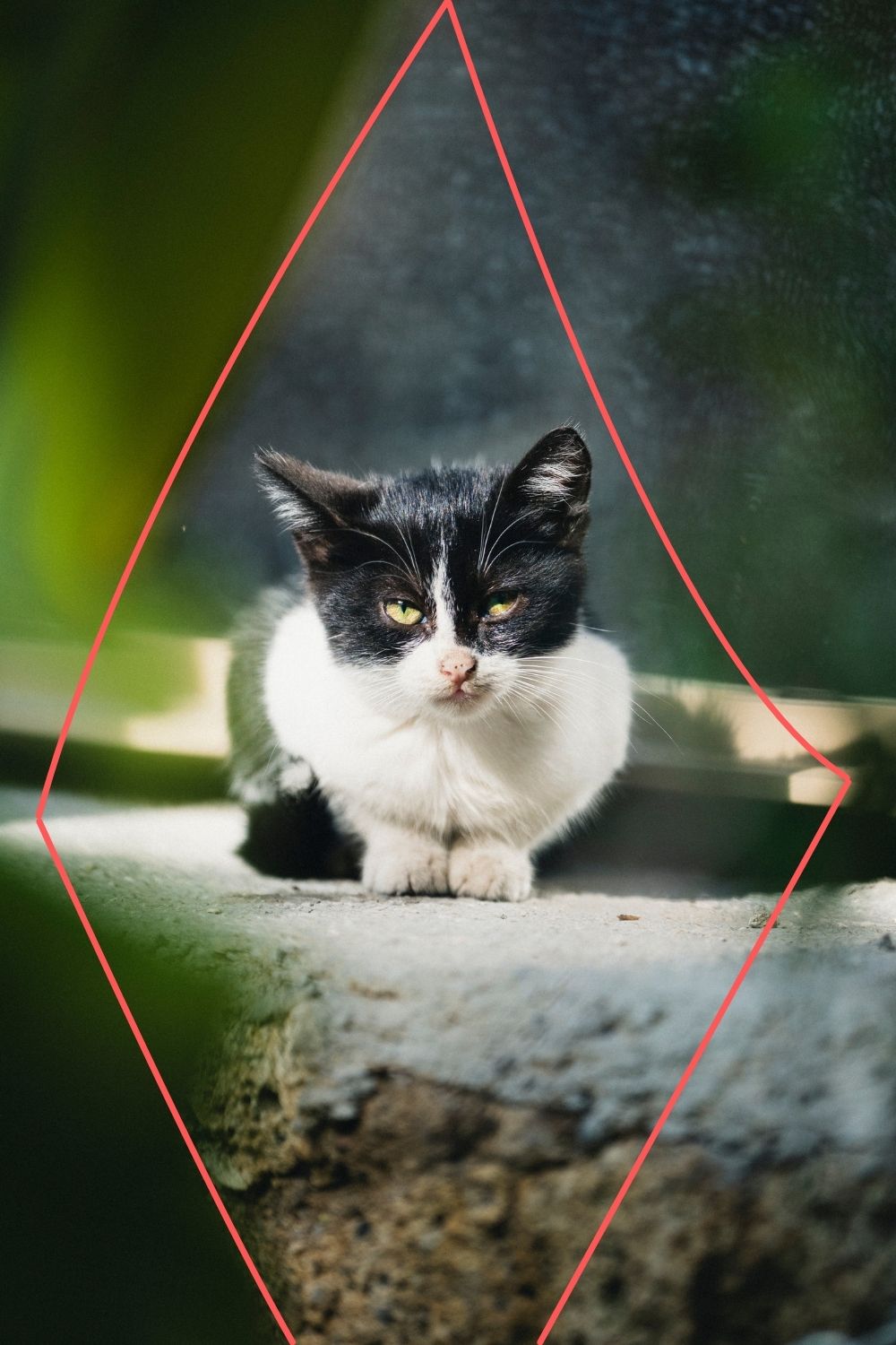A visual guide to natural framing, showing how to enclose a subject to create a stronger photographic focal point.